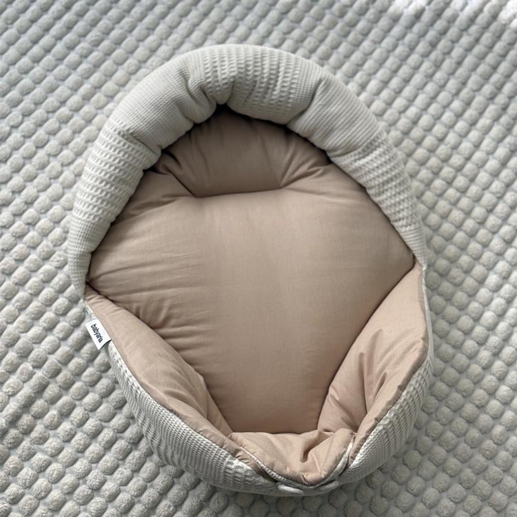 تصویر آغوشی سوئیسی 